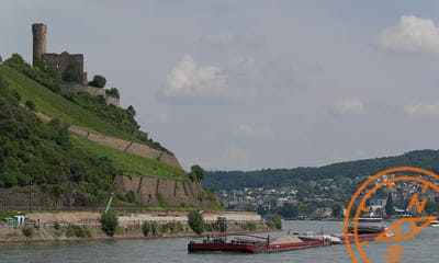 Bingen (Bingen am Rhein)