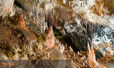 Cueva Gombasecká jaskyňa