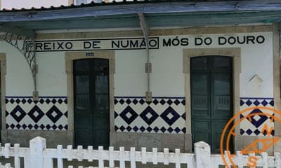 Freixo de Numão-Mós do Douro