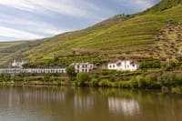El Douro Valley a través de sus Quintas