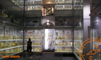 Hunterian Museum
